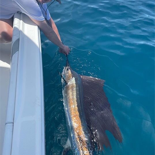Guy Harvey Pro Team Jacob Hardy
