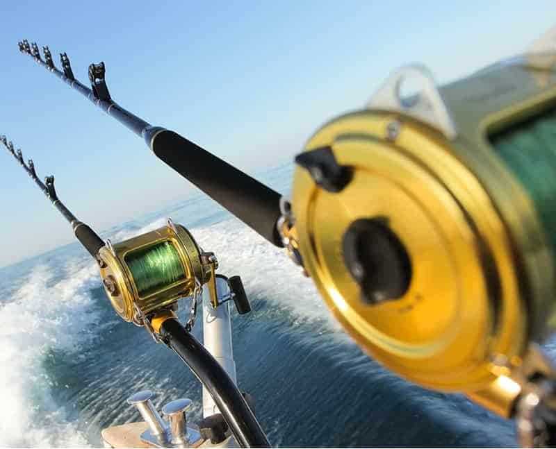 closeup of rods and reels