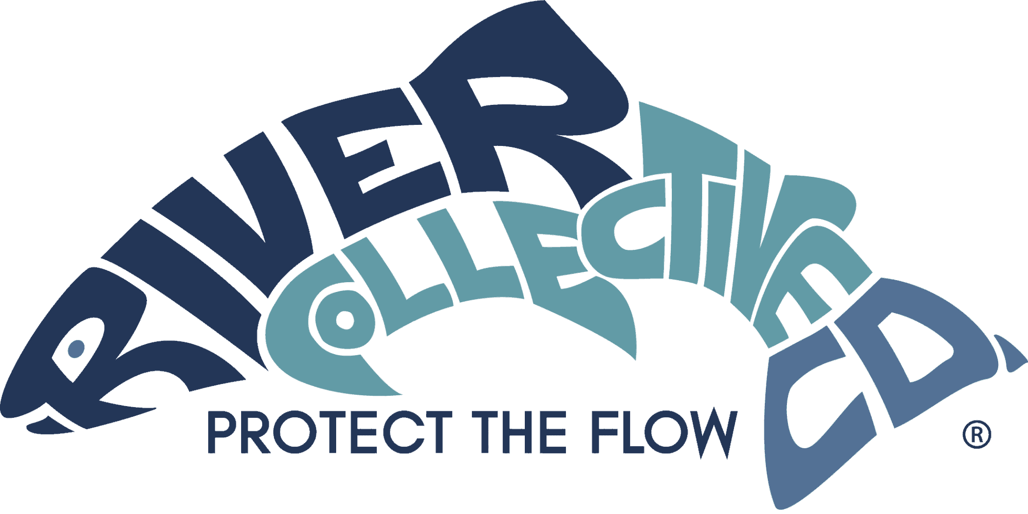 Abstract logo with multiple teal and dark blue fish shapes forming a curved arc around the slogan 'Protect the Flow'.
