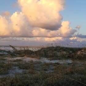 Dunes & the Sea Oats Outpost by Brianna Plant